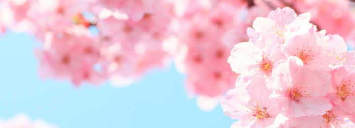 pixta_21050579_s.jpg