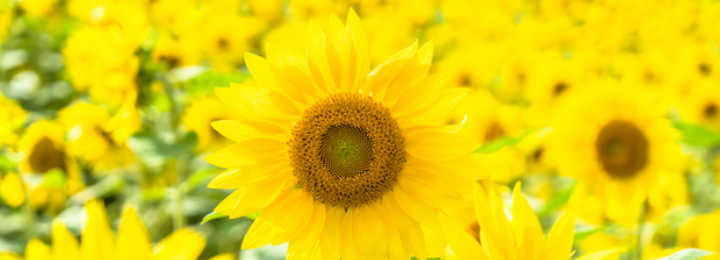 pixta_22423654_s.jpg